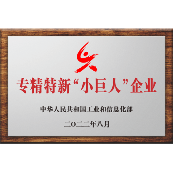 国家专精特新“小巨人”企业