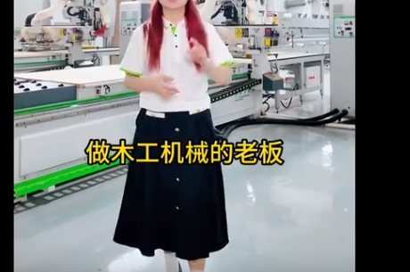 豪德-一拖二开料机
